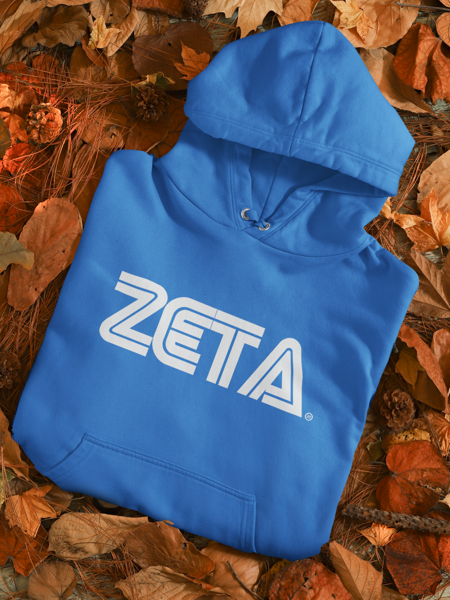 Zeta Phi Beta Retro Gamer Design T-Shirt & Hoodie