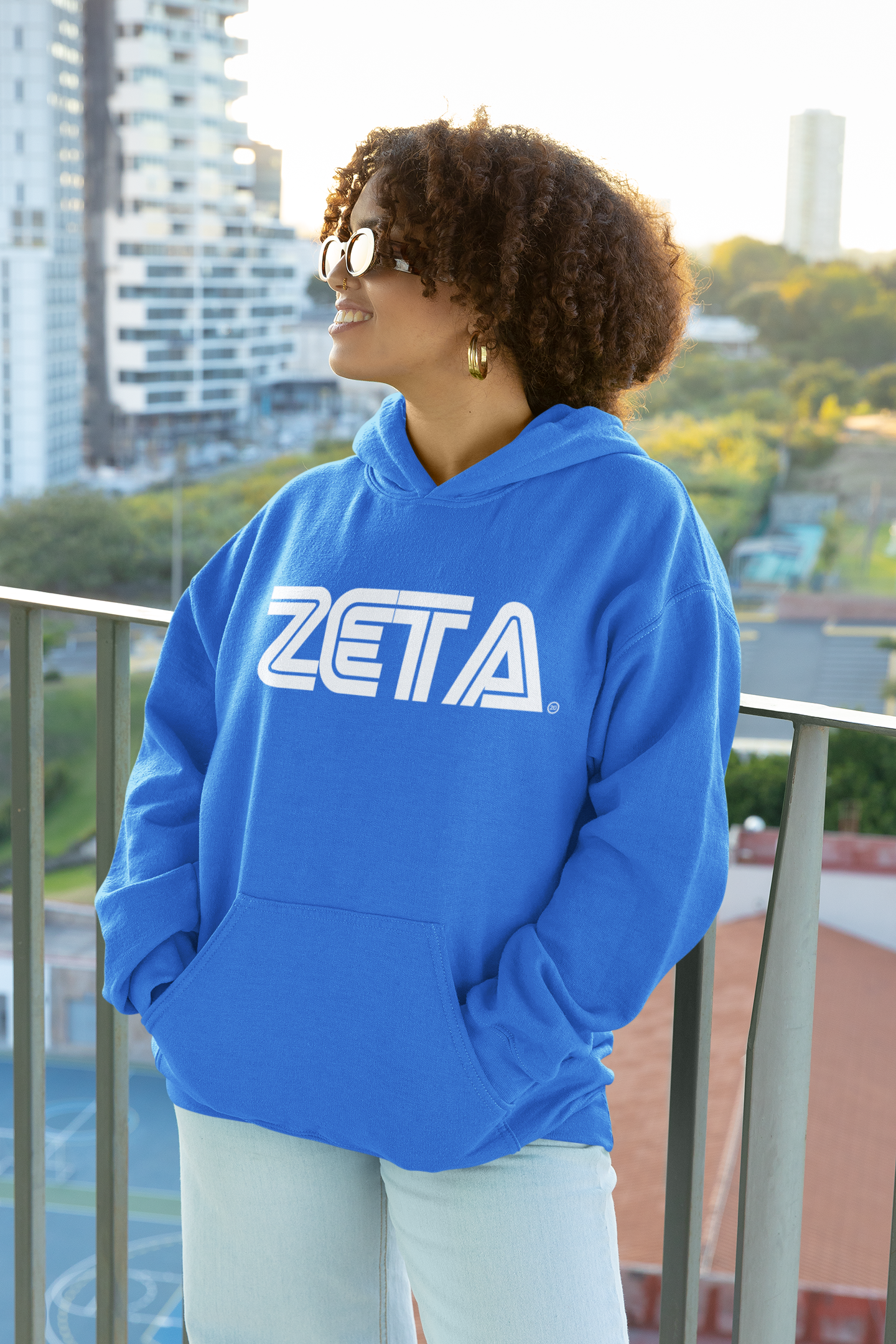 Zeta Phi Beta Retro Gamer Design T-Shirt & Hoodie