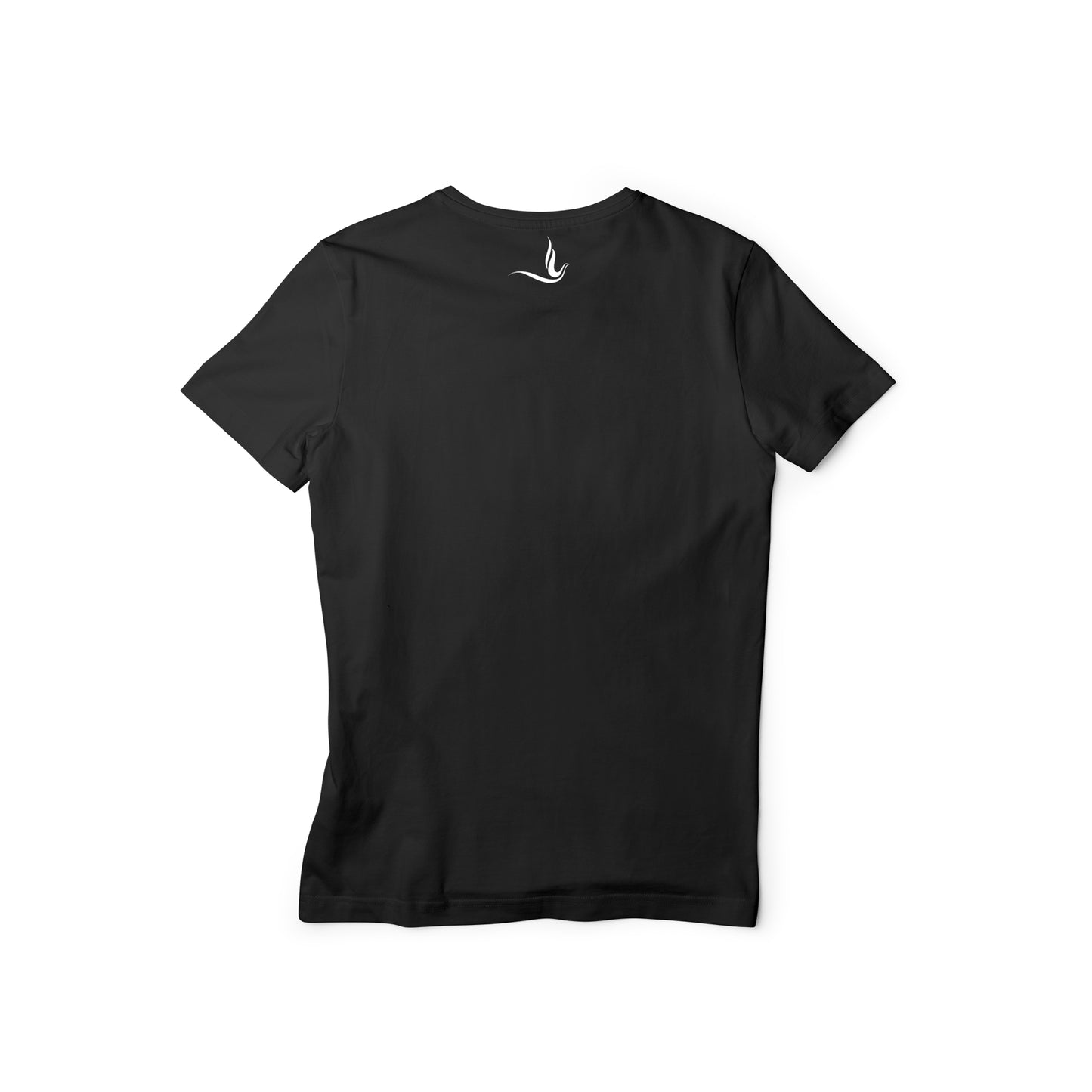 Zeta Phi Beta Sorority SororZ T-Shirt